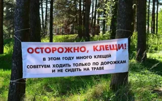 Прогулки в лесах и горах Крыма без клещей — только за деньги?