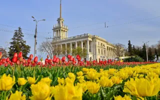 Погода в Крыму и Севастополе 16 апреля: до + 20, солнечно
