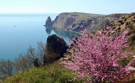 Прогноз погоды на 27 апреля в Крыму и Севастополе 