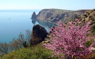 Прогноз погоды на 27 апреля в Крыму и Севастополе 
