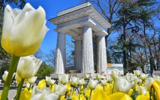 Погода в Крыму 30 апреля: до 27 градусов тепла, солнечно