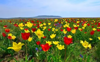Погода в Крыму и Севастополе 4 мая: солнечно и жарко