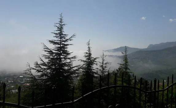 Южный берег Крыма накрыло густым туманом (фото)