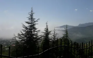 Южный берег Крыма накрыло густым туманом (фото)