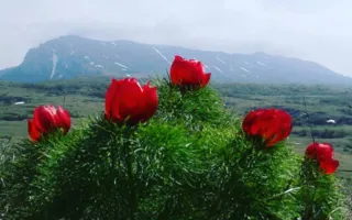 Погода в Крыму и Севастополе 10 мая: идёт похолодание