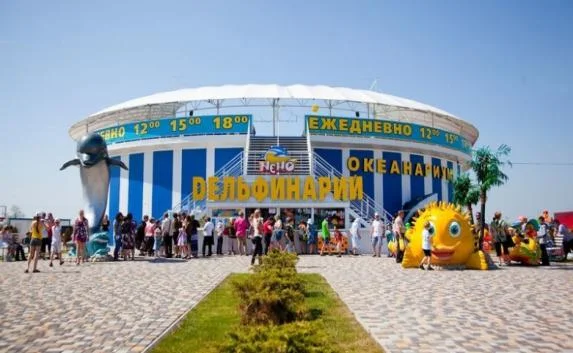 В Феодосии дельфинарий затопил округу: вынесен штраф