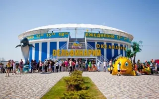 В Феодосии дельфинарий затопил округу: вынесен штраф