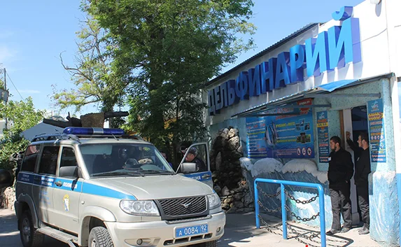 В Севастопольском дельфинарии устроили «шоу» с кавказцами
