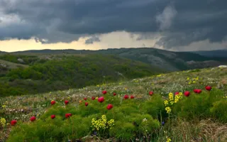 «Неласковый» май: В Крыму на выходных опять дожди (прогноз)