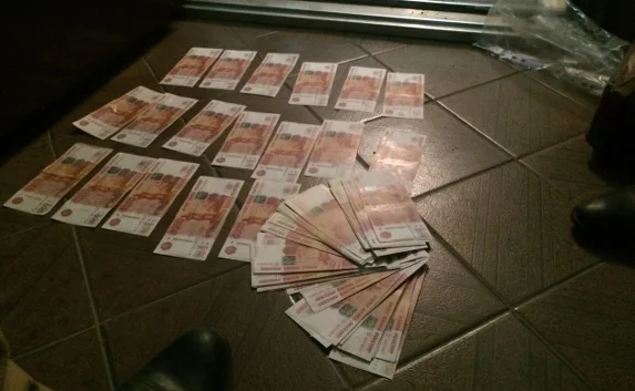 Близится суд над крышевателем салона шуб-«нелегалок» 