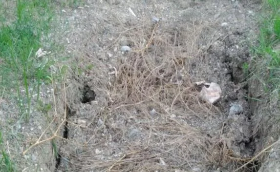 «Чёрные археологи» разворовали братскую могилу времён ВОВ