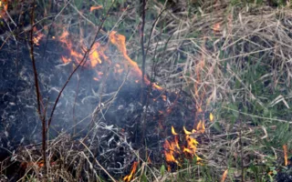 В Севастополе сухая трава загоралась 43 раза за неделю