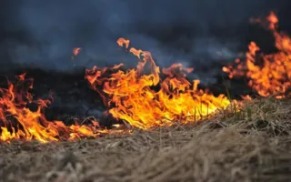 В Крыму за выходные потушили 48 возгораний травы