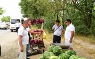В Крыму поймали нелегальных продавцов с тоннами арбузов (фото)