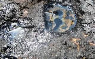 ​С автомойки города Саки взыскали 250 тыс. рублей за загрязнение почвы