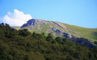 Три природных заказника создадут в Крыму до конца года
