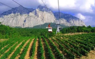 В Крыму до 2020 года появится 1500 гектаров виноградников — Аксёнов