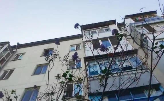 Уникальное природное явление в Севастополе: в городе зацвела сирень 