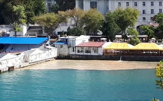 Коричневое пятно в Артбухте проверяют под надзором прокуратуры