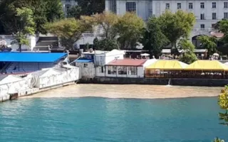 Коричневое пятно в Артбухте проверяют под надзором прокуратуры