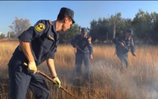 Крымские пожарные спасли посёлок от возгорания (фото, видео)