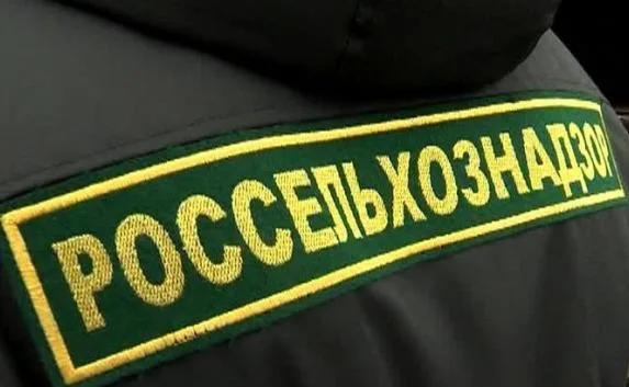 Заражённые вредителями яблоки и картофель пытались провезти из Украины в Крым