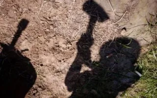 Происшествия в Крыму: пропавшую школьницу вернули домой, раскрыта кража и вандализм