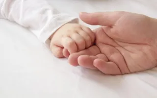 В Севастополе рождаемость упала на 11%