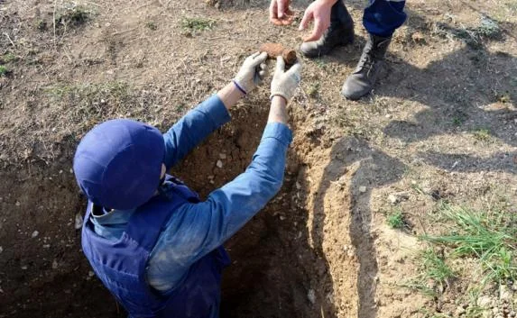 Схрон советских снарядов обнаружили в Севастополе (фото, видео)