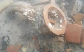 Фрагменты древних амфор обнаружили на дне Карантинной бухты (фото)