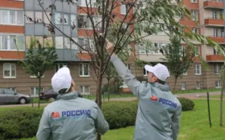 Приклеенные ветки и забор из надгробий: необычные новости России