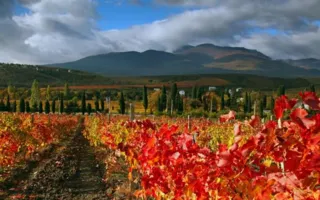 Прогноз погоды на вторник в Крыму: осенняя прохлада и облачность