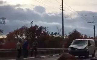 Микроавтобус насмерть сбил лошадь на крымской трассе (фото, видео)