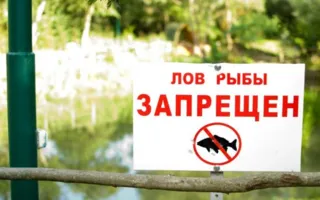Рыбалка в Судаке под запретом: ограничения действуют с ноября по февраль
