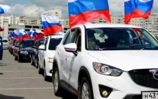 Участники автопробега в Севастополе в честь Дня народного единства устроят посадку деревьев