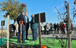 Чиновники высадили деревья в концлагере «Красном» (фото)