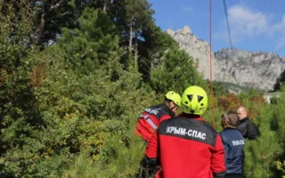 Сотрудники «Крым-спаса» нашли 8-летнего мальчика, пропавшего в лесу Бахчисарая 