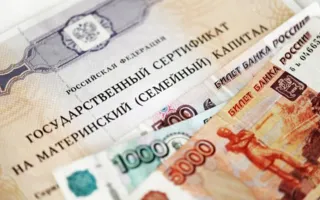 Материнский капитал начнет «работать» на детей-инвалидов — ОНФ