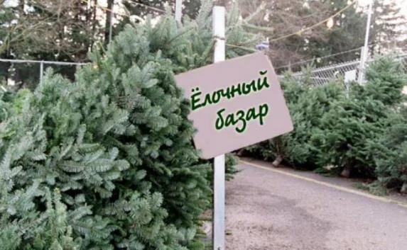 В Симферополе откроют 31 ёлочный базар (адреса)