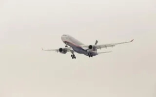 Пьяная крымчанка напала на стюардессу в самолёте «Москва— Симферополь» (видео)
