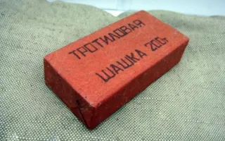 Керчанина осудят за экстремизм и хранение тротиловой шашки