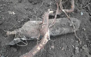 В Крыму ликвидировали баллон с неизвестным содержимым, угрожавшим здоровью населения (фото)