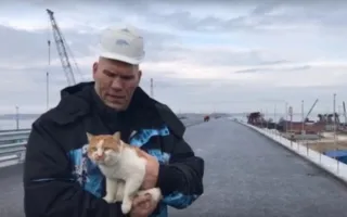 Николай Валуев прокатил с «ветерком» кота Мостика по Крымскому мосту (фото)