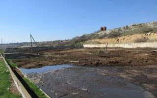 Под Бахчисараем нашли нелегальную свалку свиного навоза в 2000 квадратных метров (фото)
