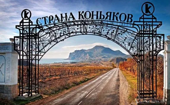 Специнспекция проверяет угрозу экологической катастрофы на винзоводе в Коктебеле