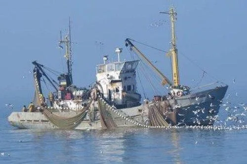 Капитана «Норда» выпустили под залог 