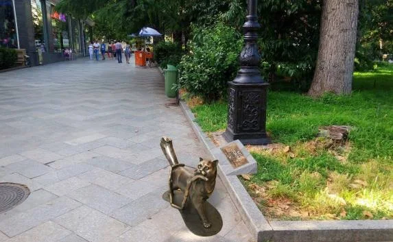 Ялтинский кот Сосискин «поселился» возле памятника Ленину (фото)