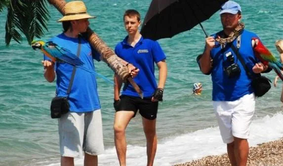 В Крыму увеличат штрафы для уличных фотографов с животными