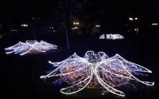 В Крыму началась подготовка к Новому году (фото)