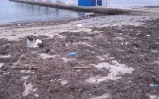 Крымчане возмущены ужасной работой операторов на пляжах в Балаклаве и Омеге (фото)